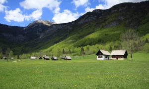 voje_bohinj